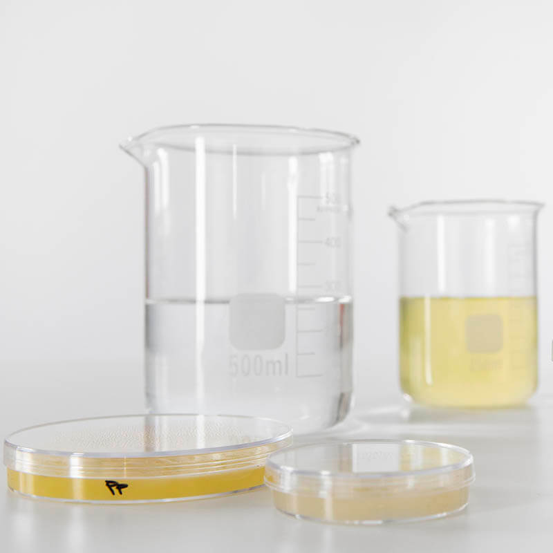 zinc additives for motor oil